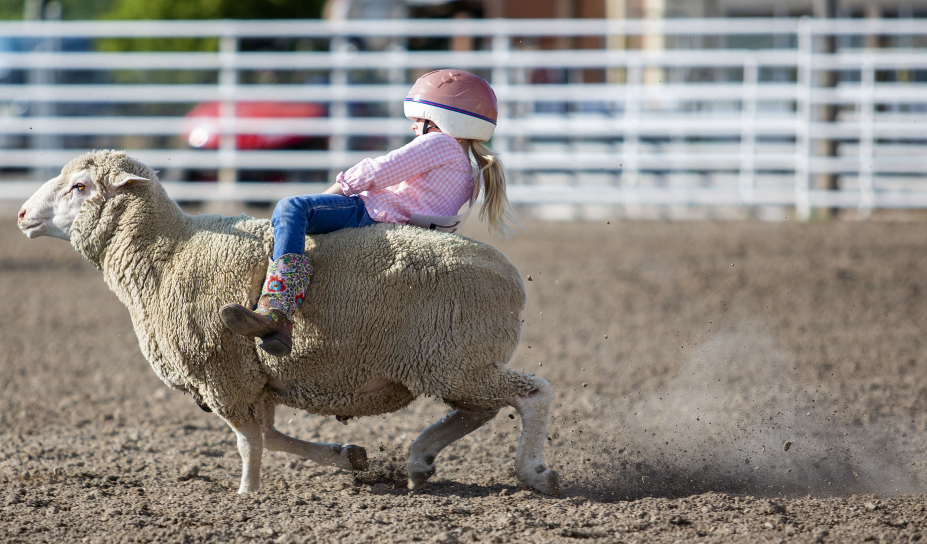 Mutton Busting in Minidoka